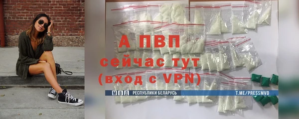 стафф Арсеньев