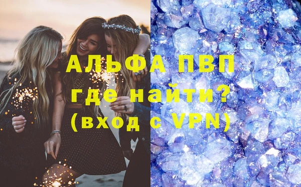 стафф Арсеньев