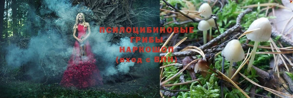 стафф Арсеньев