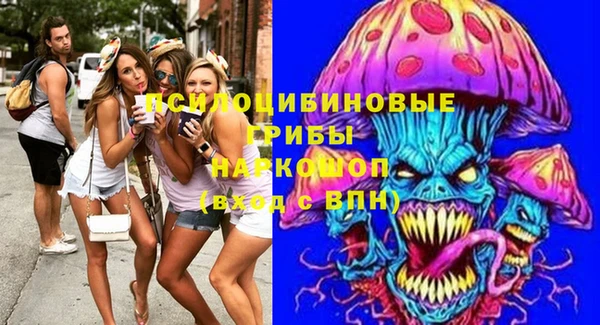стафф Арсеньев