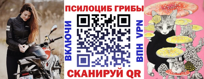 Псилоцибиновые грибы Cubensis  Порхов 
